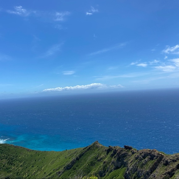 Meet your Posher, Julie - Picture 1 of 1